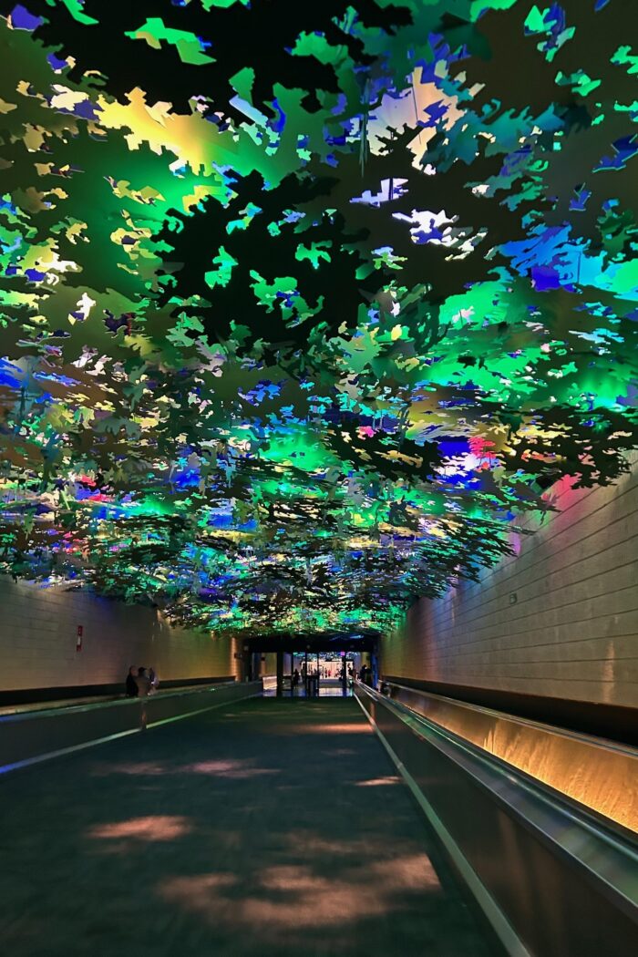 5 things to do in Atlanta (ATL) airport on a layover