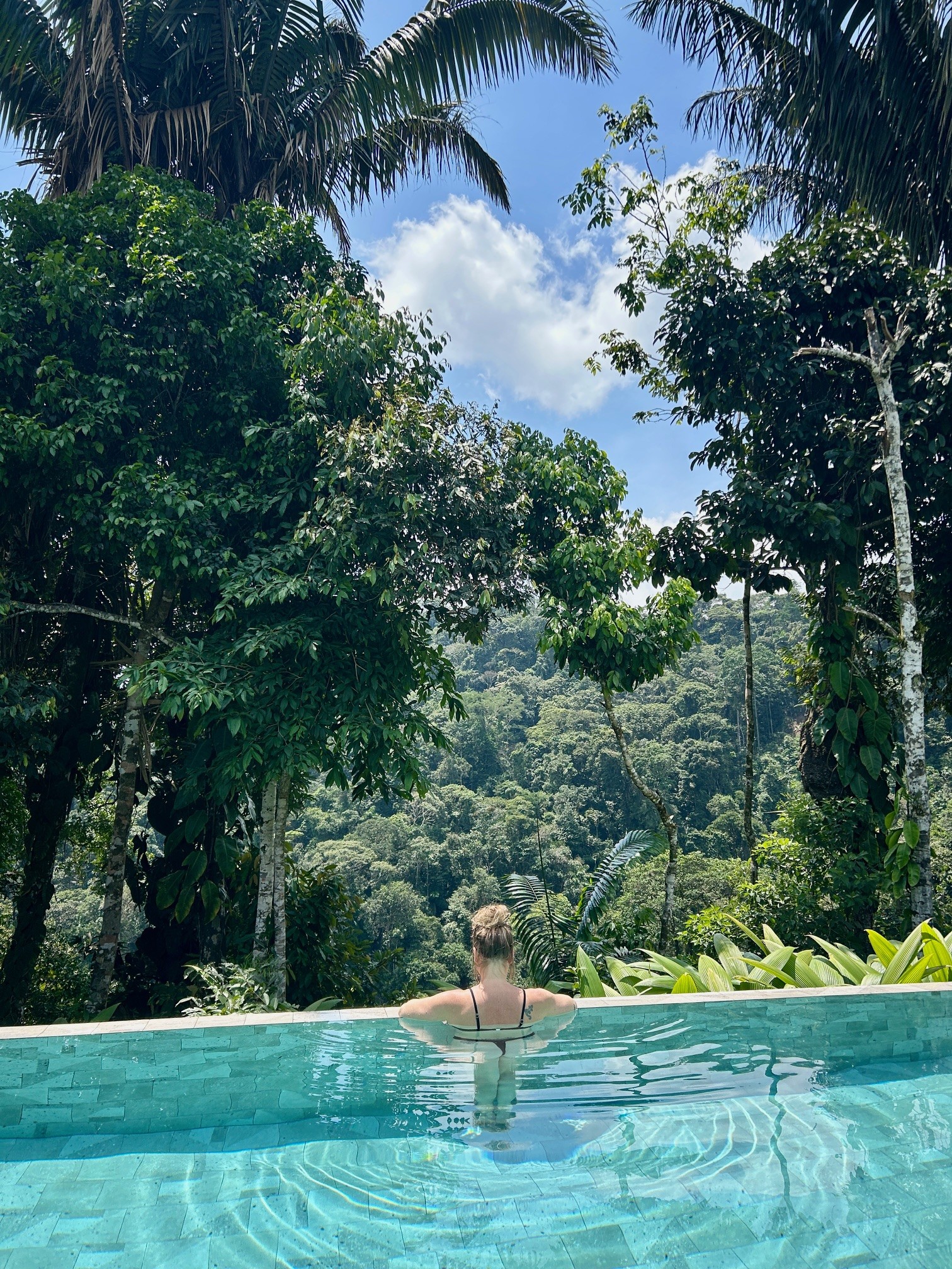 From Quito to the Amazon: An Unforgettable Road Trip Through Ecuador