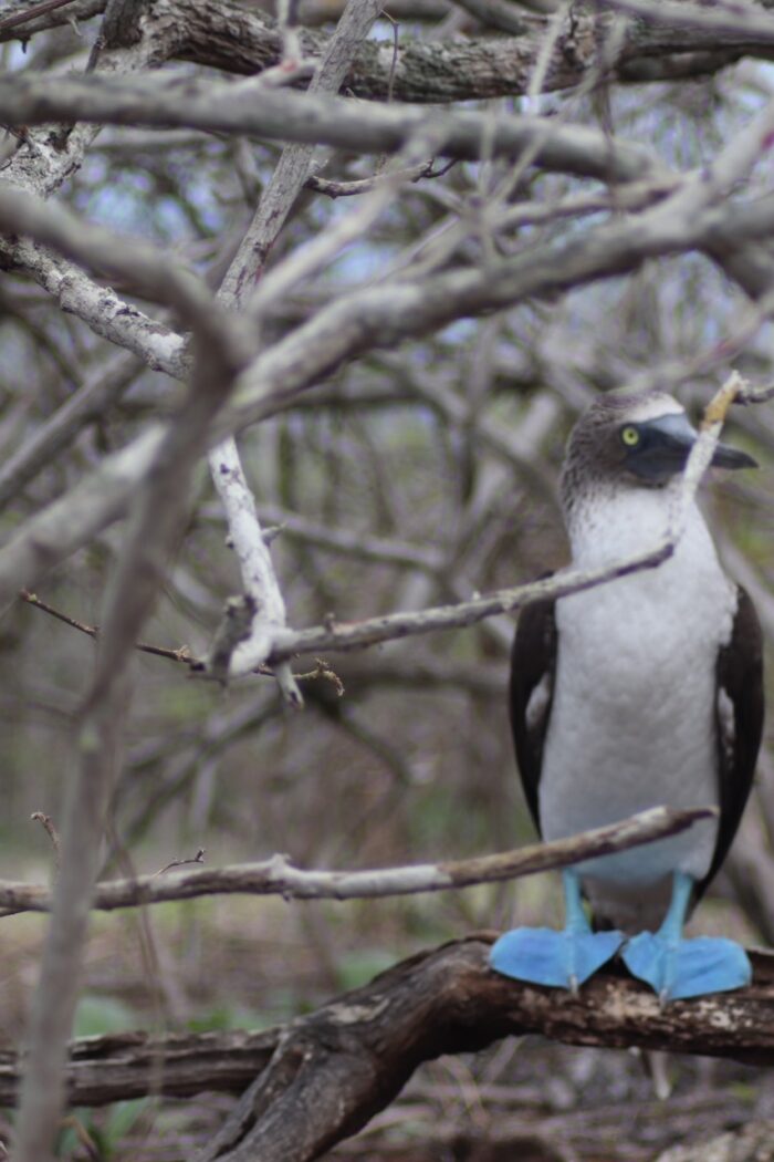 Road Tripping Ecuador: From the Amazon to the Coast