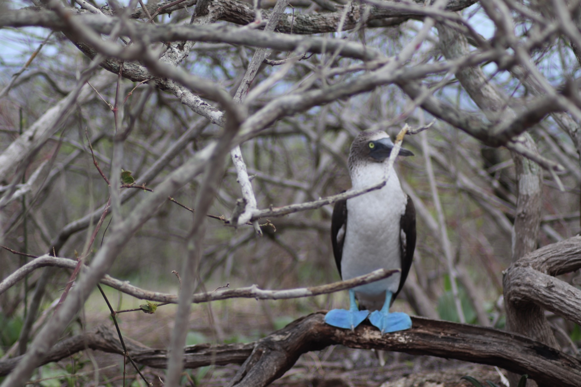 Road Tripping Ecuador: From the Amazon to the Coast